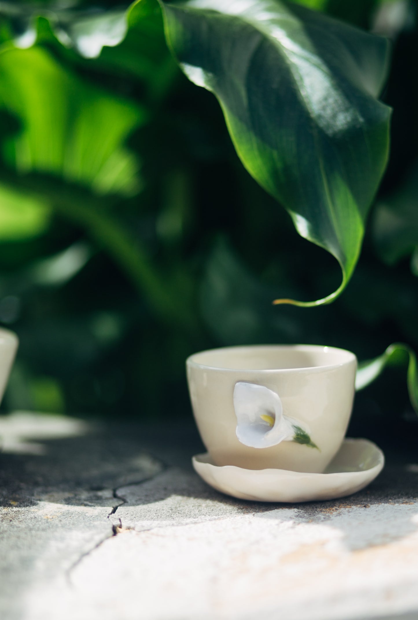 copo café coleção botânica