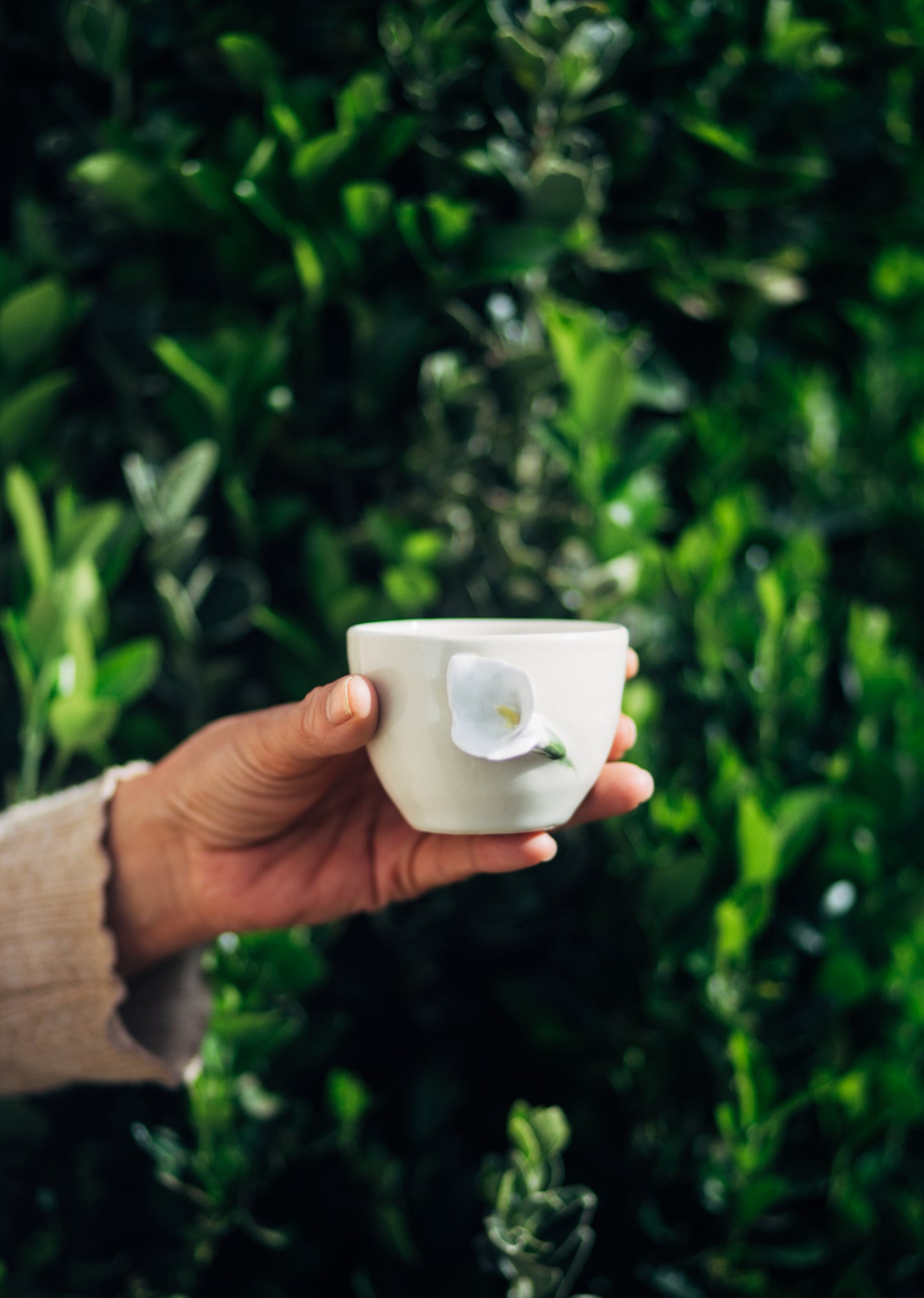 copo café coleção botânica