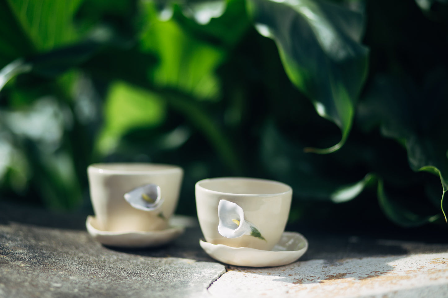 copo café coleção botânica