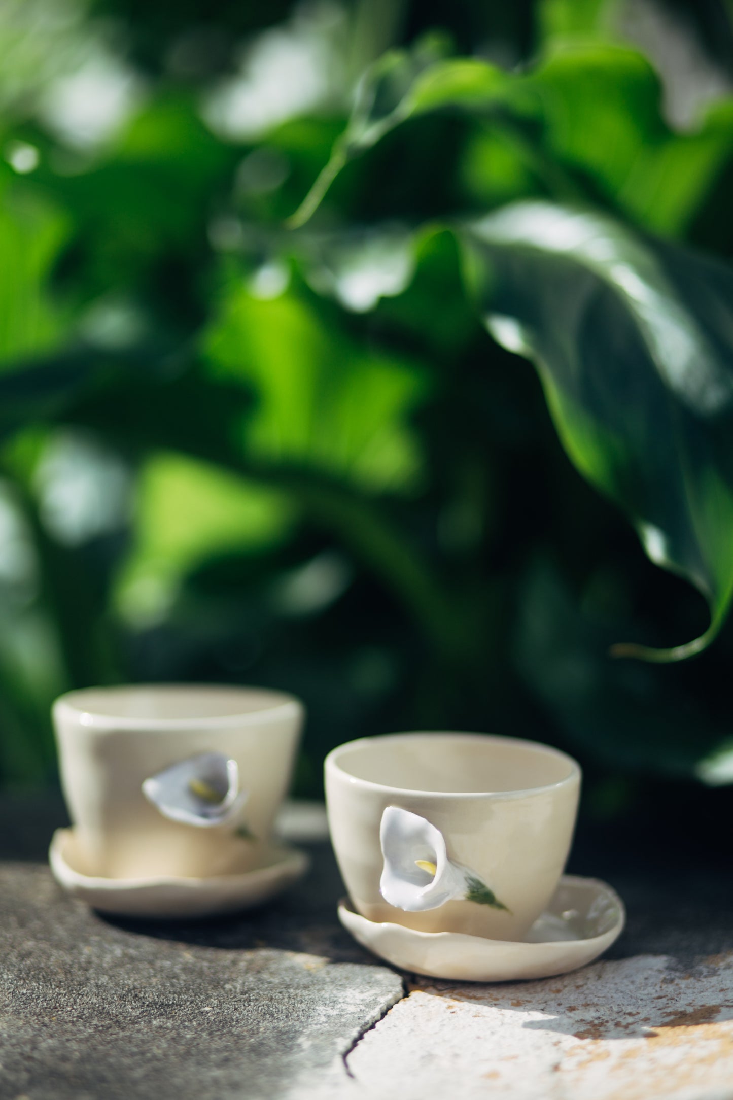 copo café coleção botânica