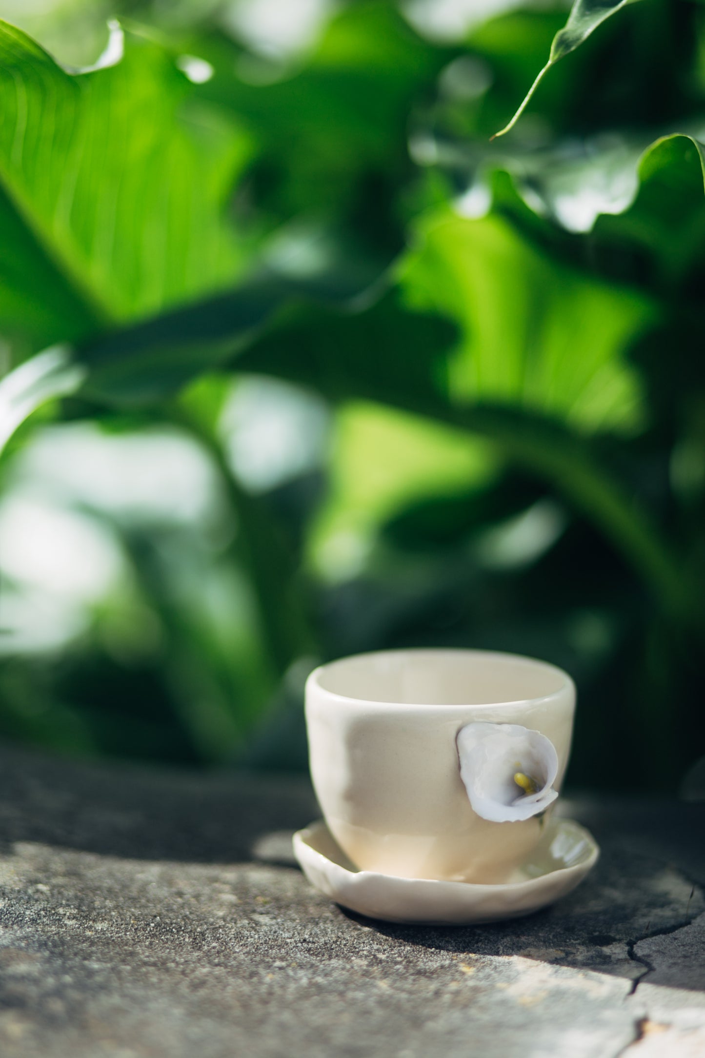 copo café coleção botânica