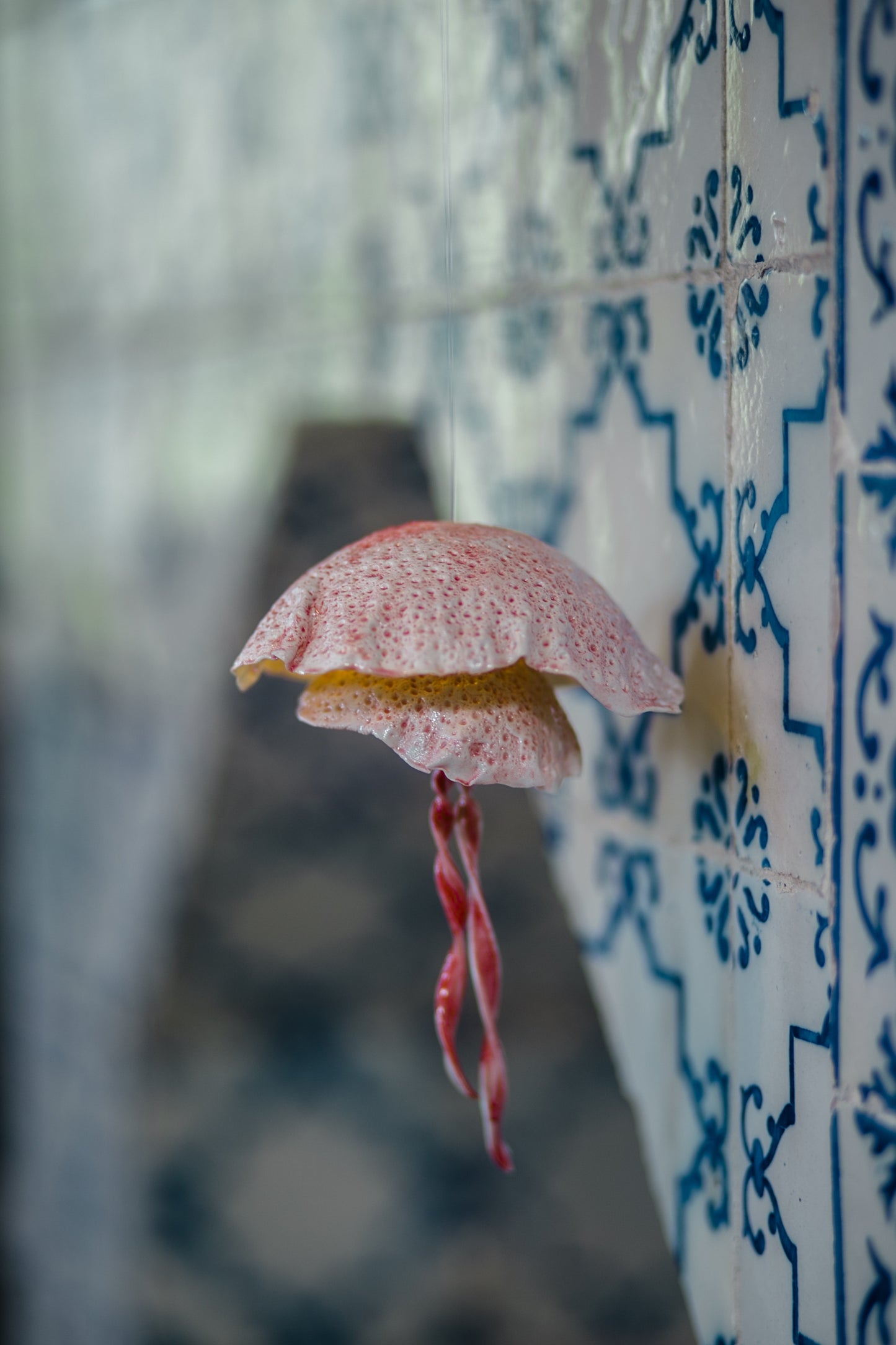 Porcelain jellyfish