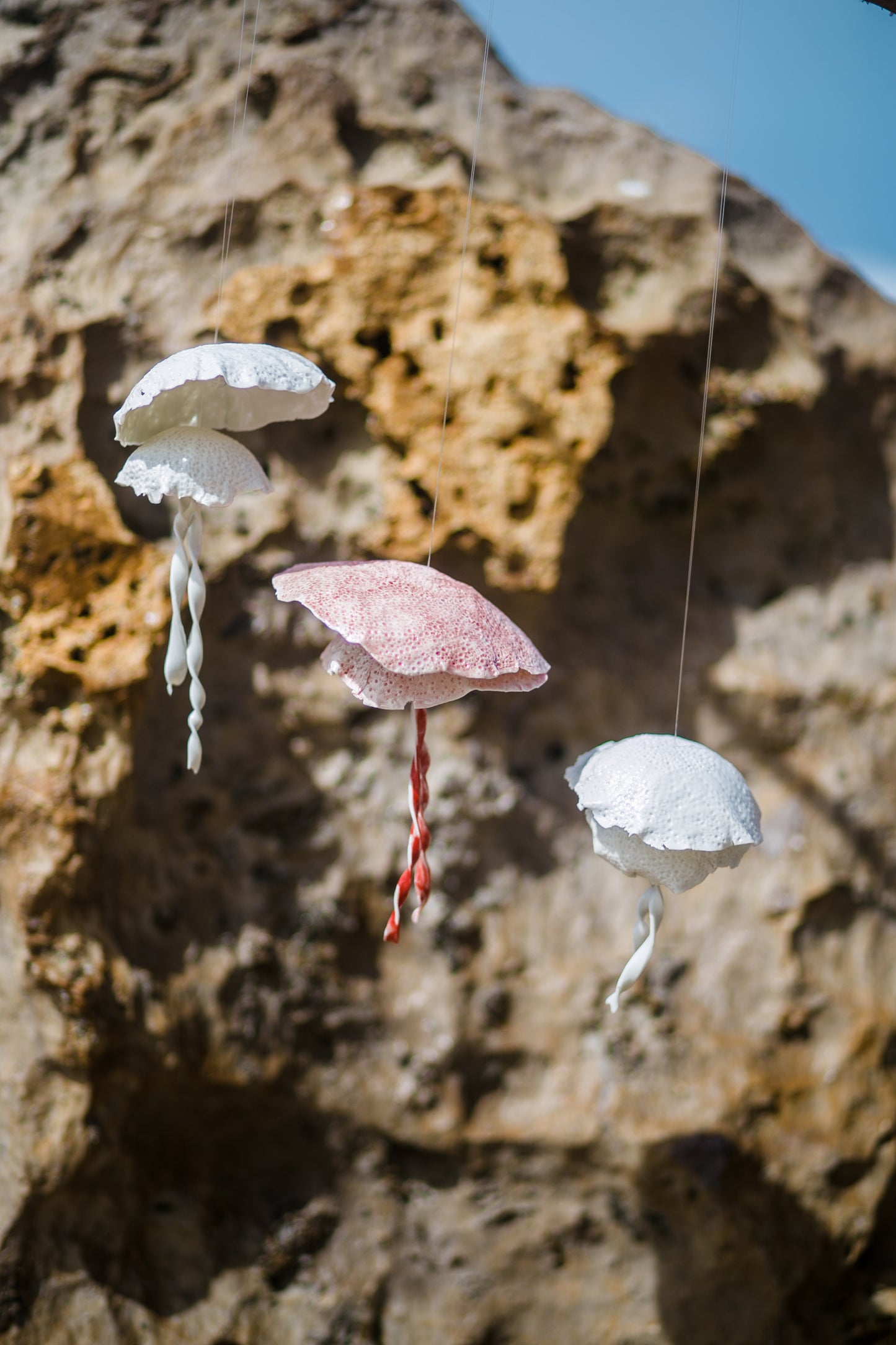 Porcelain jellyfish