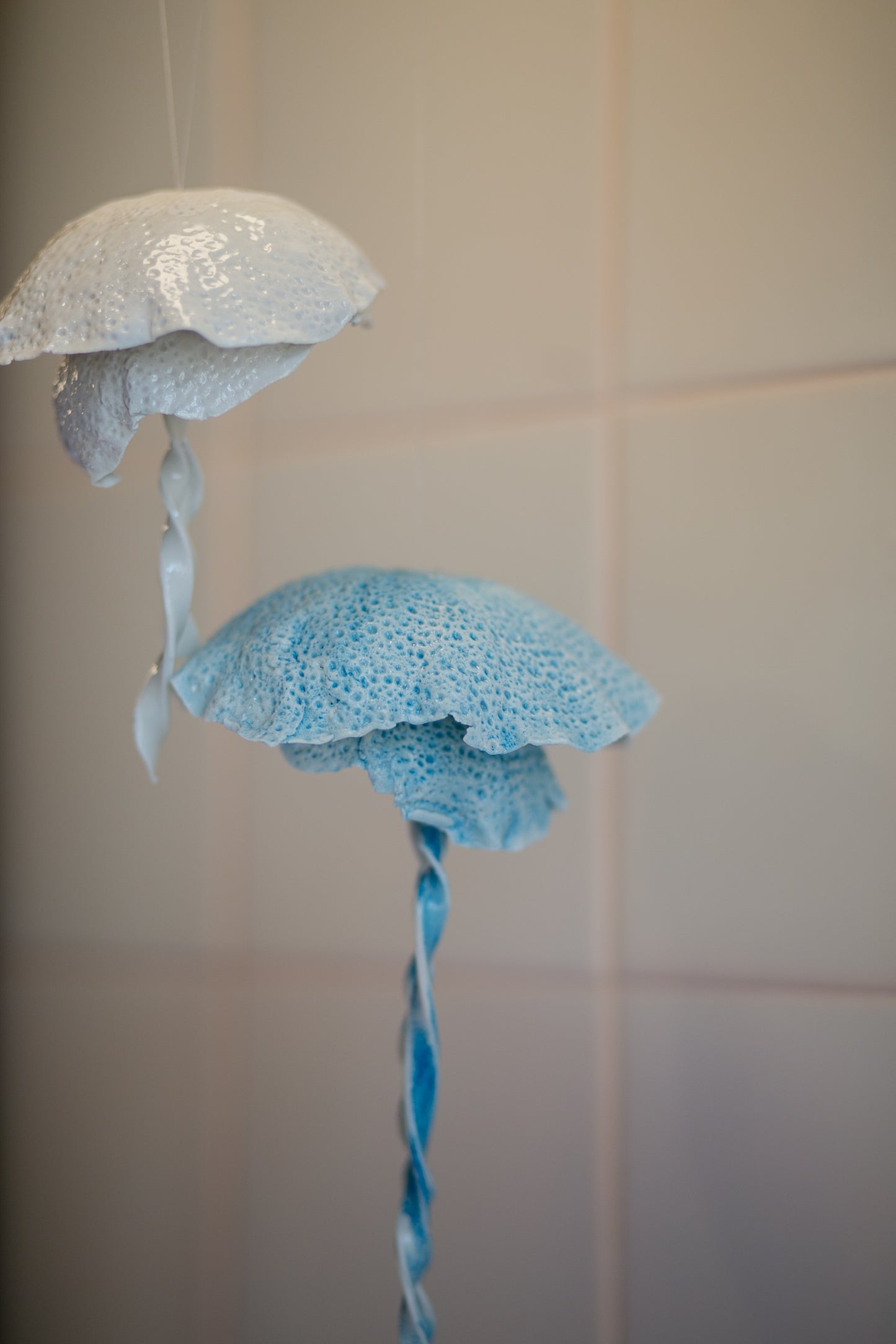 Porcelain jellyfish