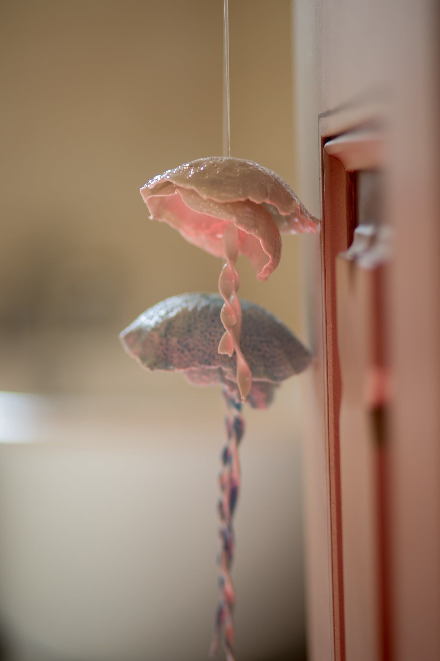 Porcelain jellyfish
