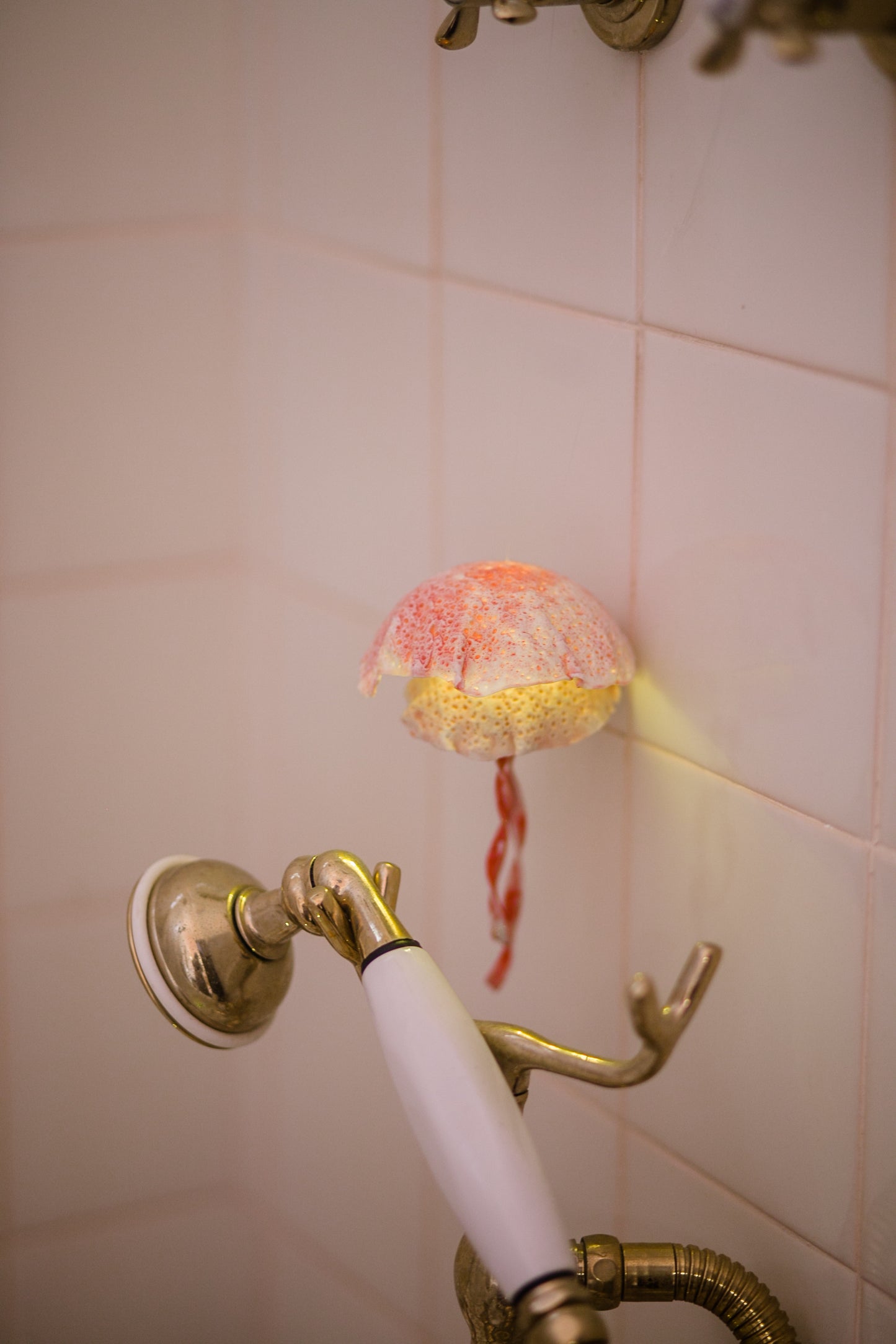 Porcelain jellyfish