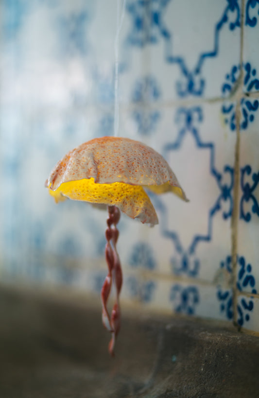 As Bailarinas do Mar — Medusas em porcelana