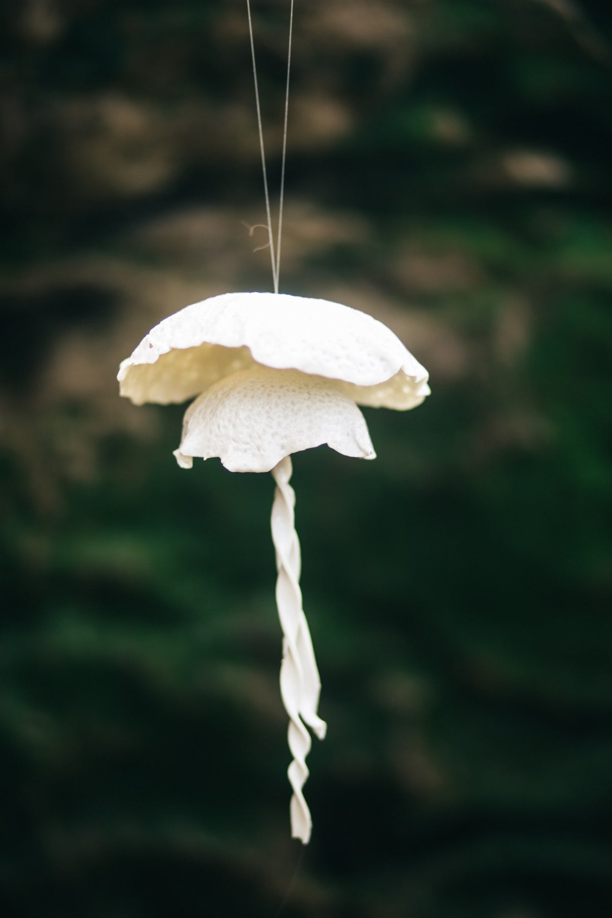 As Bailarinas do Mar — Medusas em porcelana
